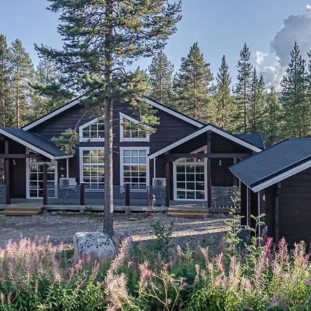 Polaris A By Aavalevi *