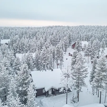 Polaris A By Aavalevi レヴィ